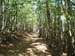 2012-06-28 Serra Crispo-Ciavole 0014