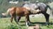 2012-06-28 Serra Crispo-Ciavole 0055