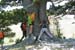 2012-06-28 Serra Crispo-Ciavole 0148