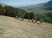 2012-07-21 Monte Morrone della Majella 0073