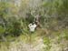 2012-09-01 Monte Circeo 0184