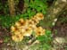 2012-10-14 Monte Tarino 0002