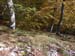 2012-10-14 Monte Tarino 0024