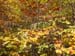 2012-10-14 Monte Tarino 0025