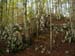 2012-10-14 Monte Tarino 0033