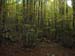 2012-10-14 Monte Tarino 0034