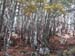 2012-10-14 Monte Tarino 0041