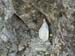 2012-10-14 Monte Tarino 0075