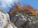 2012-10-14 Monte Tarino 0106