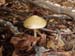 2012-10-14 Monte Tarino 0136