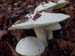 2012-10-14 Monte Tarino 0142
