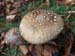 2012-10-14 Monte Tarino 0162