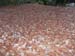 2012-10-14 Monte Tarino 0188