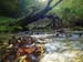 2012-10-14 Monte Tarino 0191