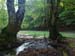2012-10-14 Monte Tarino 0193