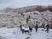 2012-11-10 Monte Forcellone 0109