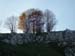 2012-11-10 Monte Forcellone 0283