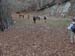 2012-11-10 Monte Forcellone 0288