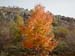 2012-11-24 Monte Magnola 0006