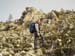 2012-11-24 Monte Magnola 0033
