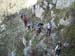 2012-11-24 Monte Magnola 0213