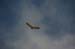 2012-11-24 Monte Magnola 0401