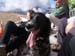 2012-11-24 Monte Magnola 0494