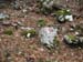 2012-12-08 Monte Forte (Fammera) 0038