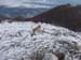 2012-12-08 Monte Forte (Fammera) 0098
