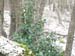 2012-12-08 Monte Forte (Fammera) 0123