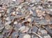 2012-12-08 Monte Forte (Fammera) 0146