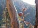 2013-02-10 Monte Scalambra 0010