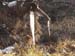 2013-02-10 Monte Scalambra 0015