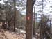 2013-02-10 Monte Scalambra 0033