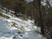 2013-02-10 Monte Scalambra 0042