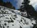 2013-02-10 Monte Scalambra 0043