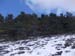 2013-02-10 Monte Scalambra 0047