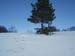 2013-02-10 Monte Scalambra 0048