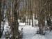 2013-02-10 Monte Scalambra 0059