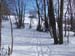 2013-02-10 Monte Scalambra 0061