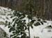2013-02-10 Monte Scalambra 0098