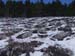 2013-02-10 Monte Scalambra 0101