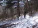 2013-02-10 Monte Scalambra 0103