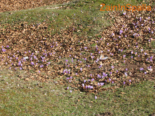 2013-04-13 Monte Calvo 0003