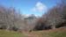 2013-04-13 Monte Calvo 0011