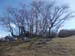 2013-04-13 Monte Calvo 0058