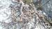2013-04-13 Monte Calvo 0341