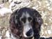 2013-04-13 Monte Calvo 0480