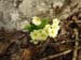 2013-04-13 Monte Calvo 0598