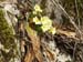 2013-04-13 Monte Calvo 0599